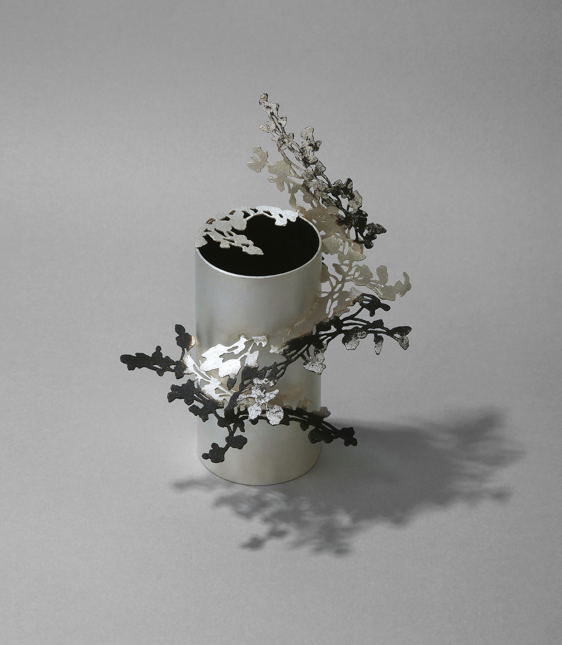 The Shape of Absence