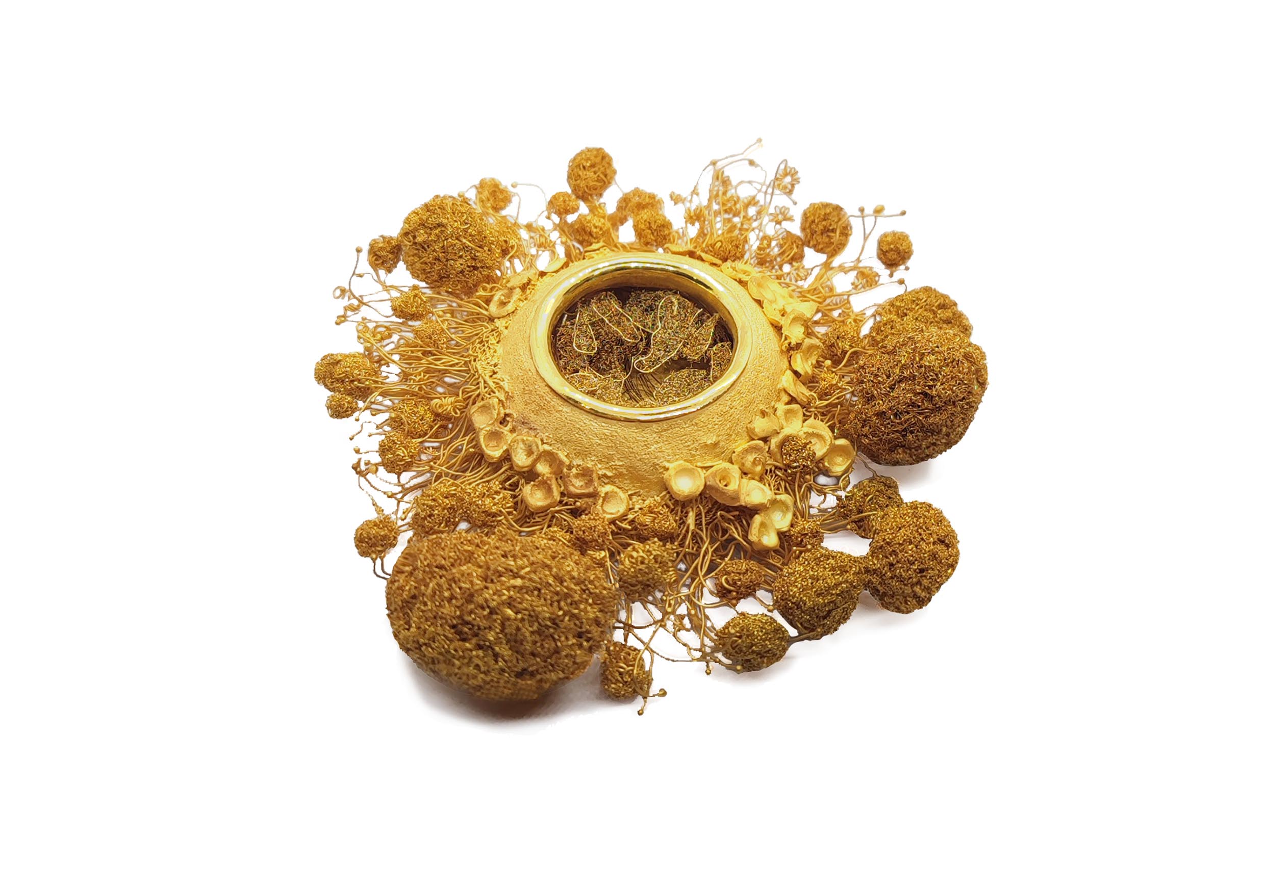 Live like a summer flower Live like a summer flower