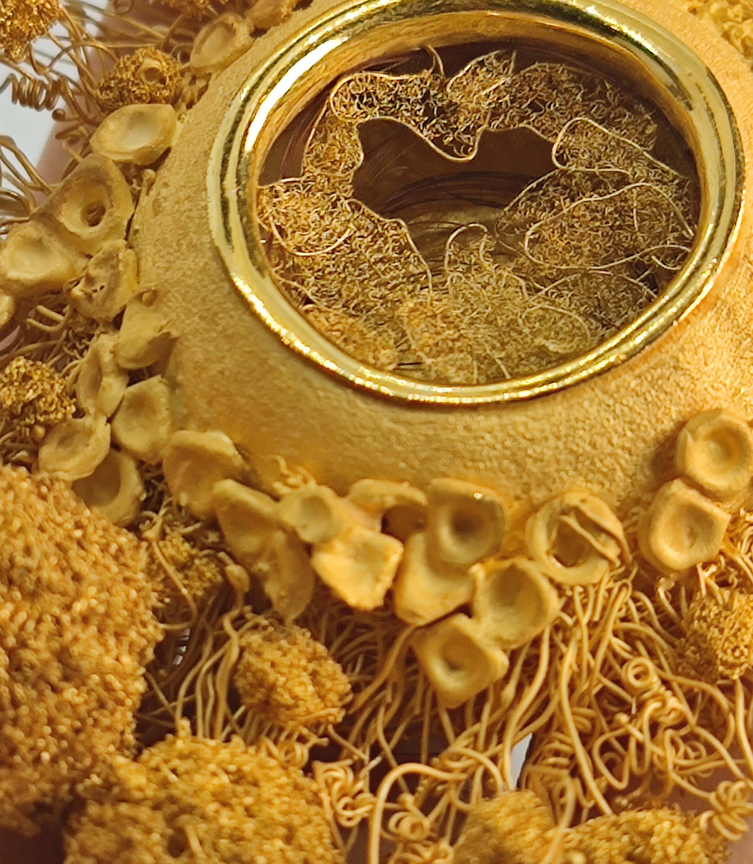 Live like a summer flower - Golden Mammary 05 Live like a summer flower - Golden Mammary 05