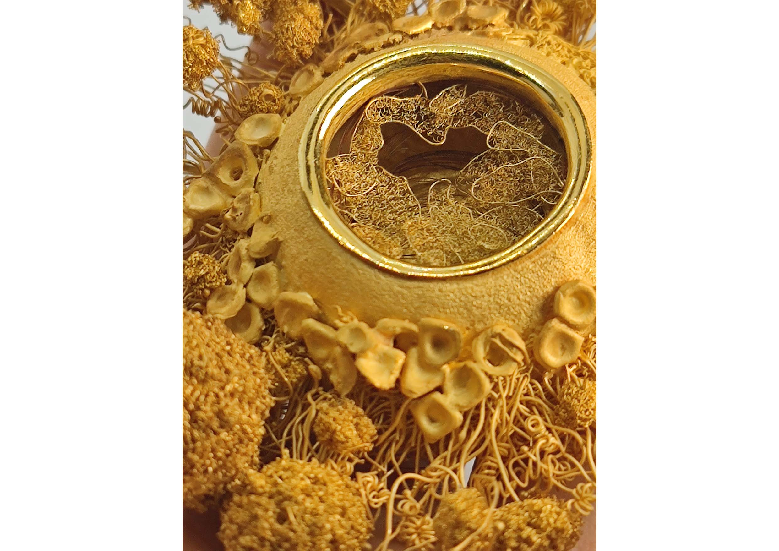 Live like a summer flower - Golden Mammary 05 Live like a summer flower - Golden Mammary 05