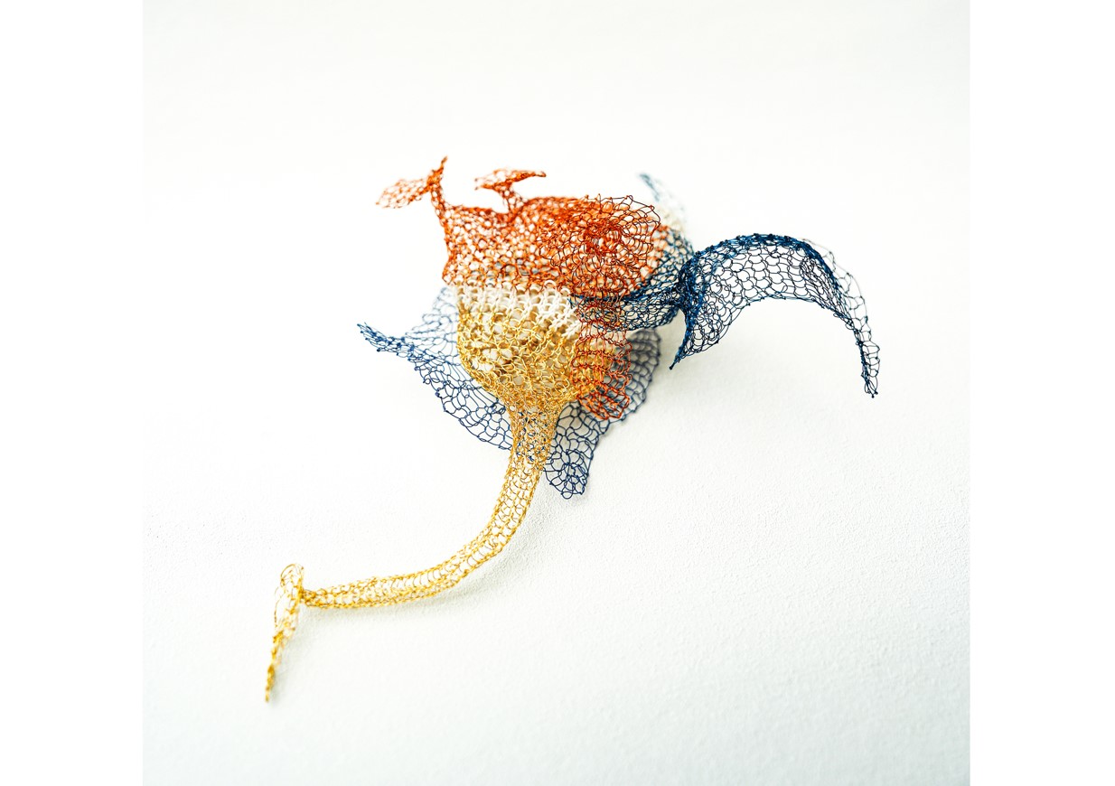 Submerged Forest Submerged Forest