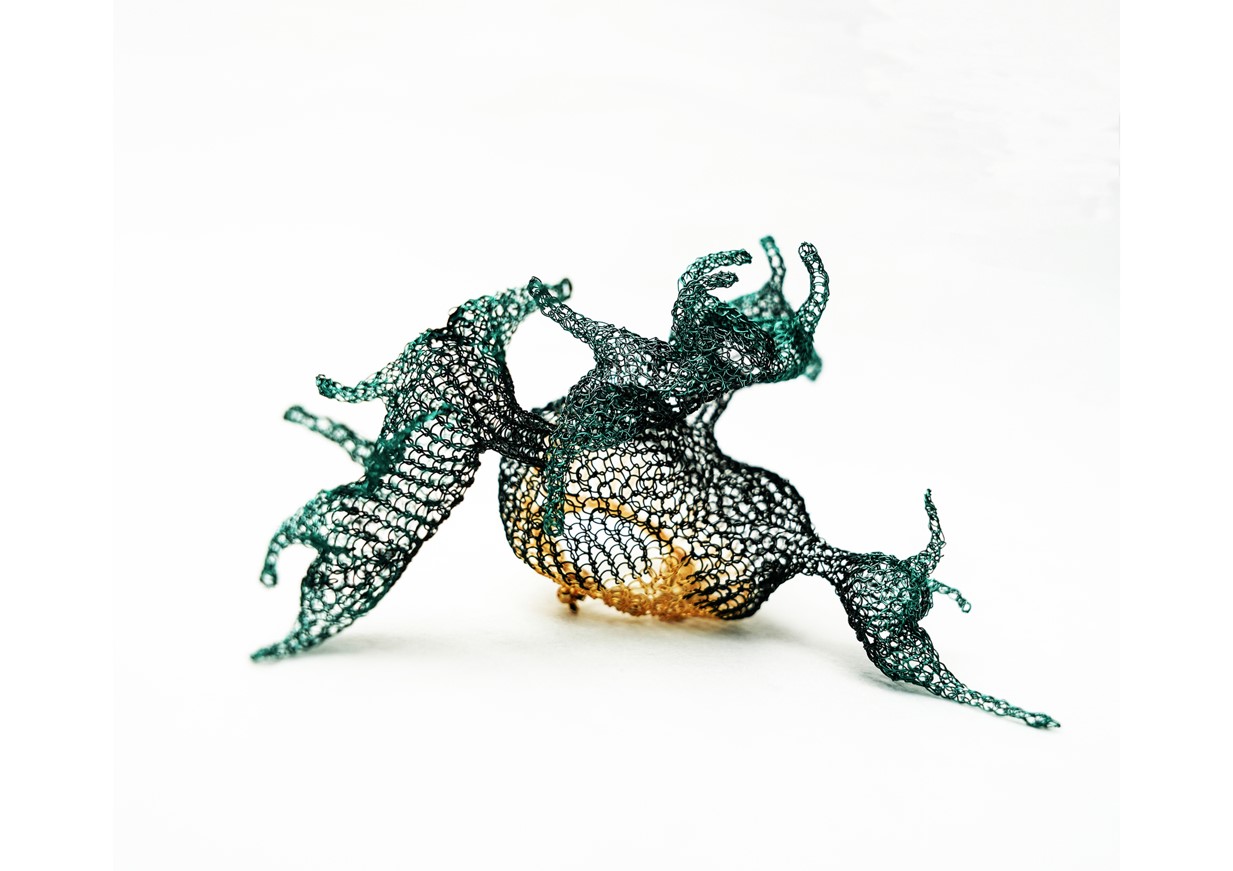 Submerged Forest Submerged Forest